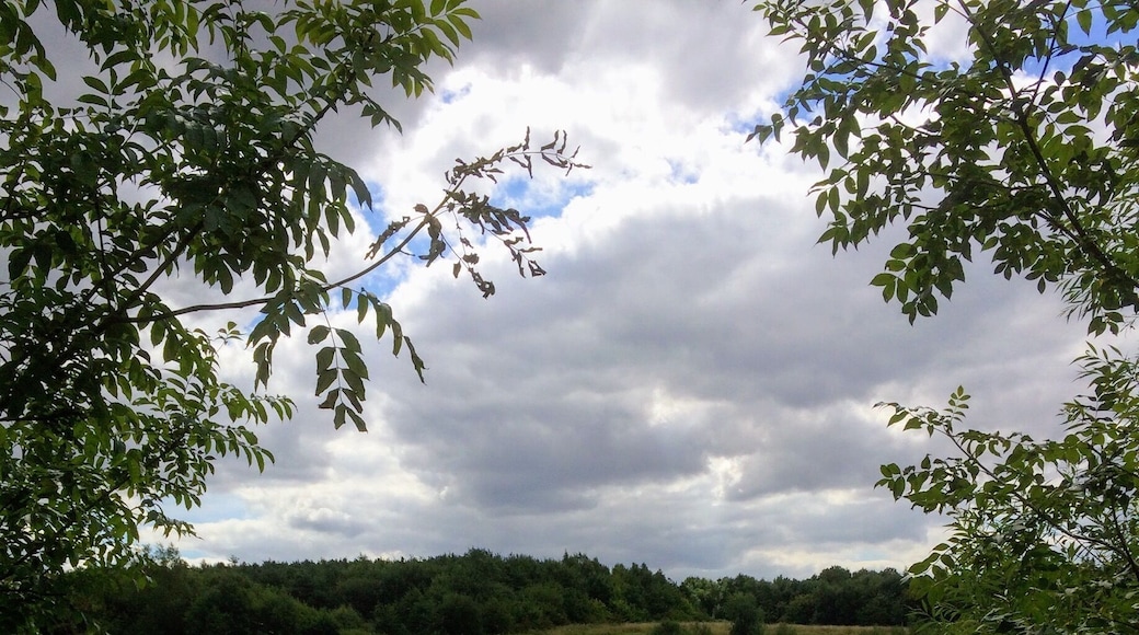 A beautiful summer's day. Then this cloud passed over. Sence valley plays to every mood each time I visit. I love where I live.