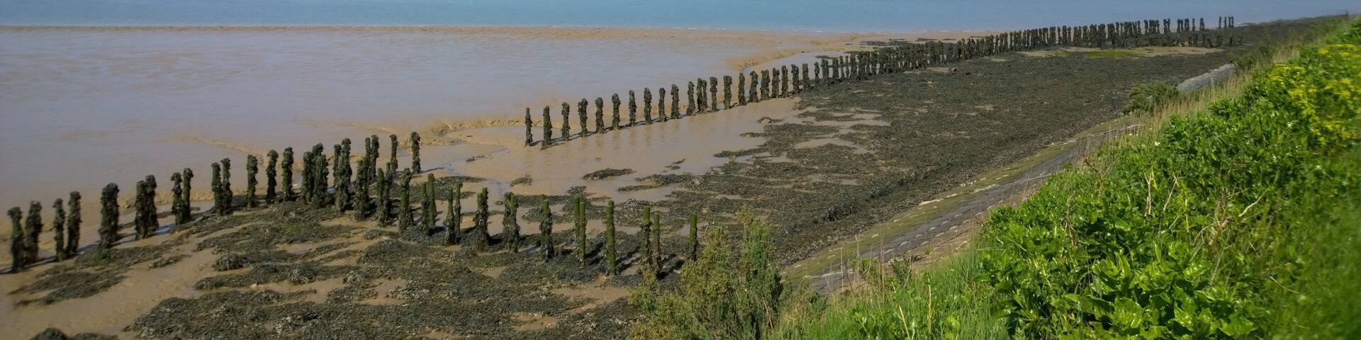 Looking East up Bradwell Creek
