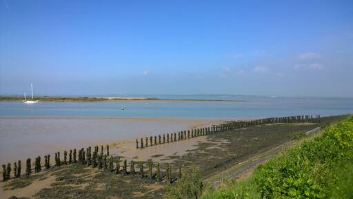 Looking East up Bradwell Creek