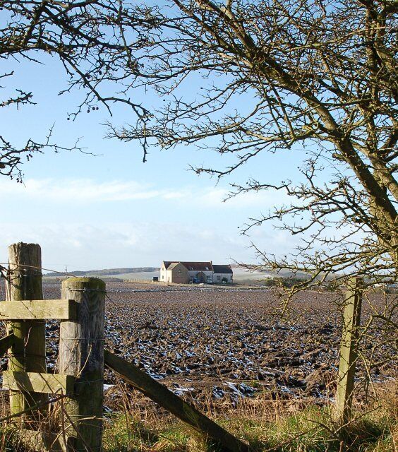 West Cassingray Looking across farmland towards West Cassingray.