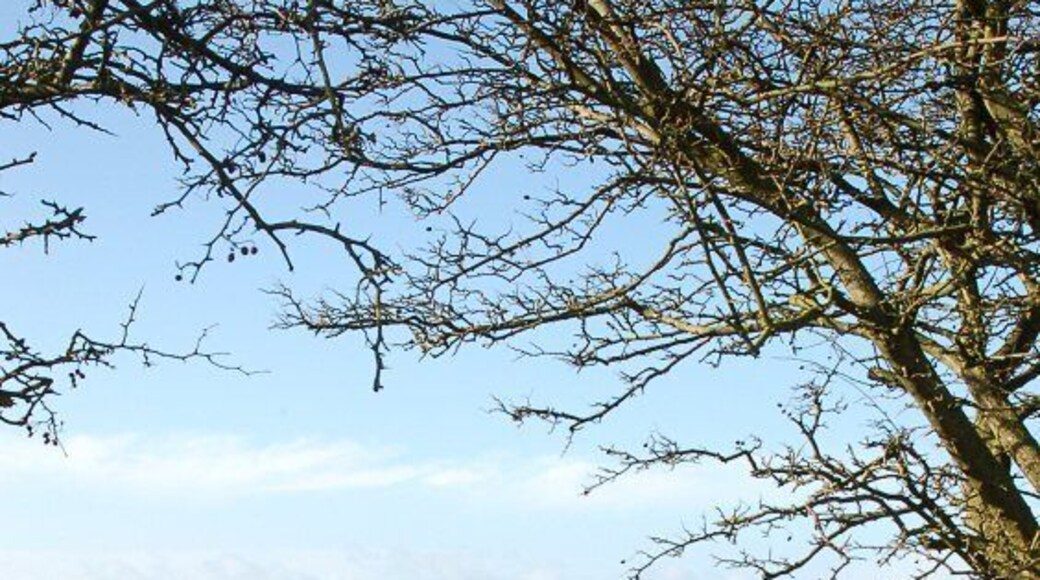 West Cassingray Looking across farmland towards West Cassingray.
