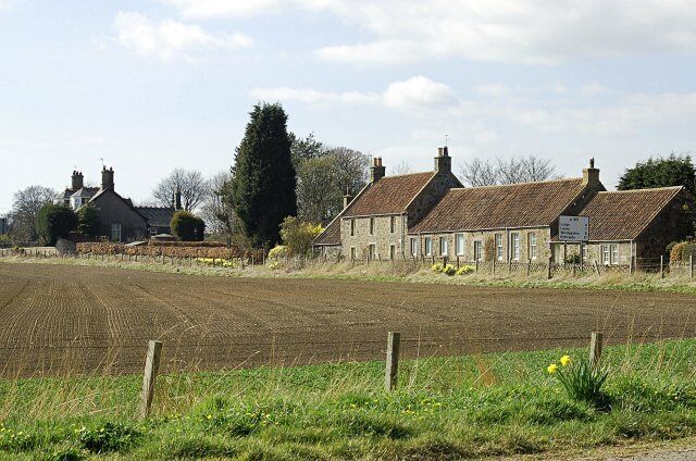 Largoward Houses on the western edge of Largoward by the Stag Head crossroads.