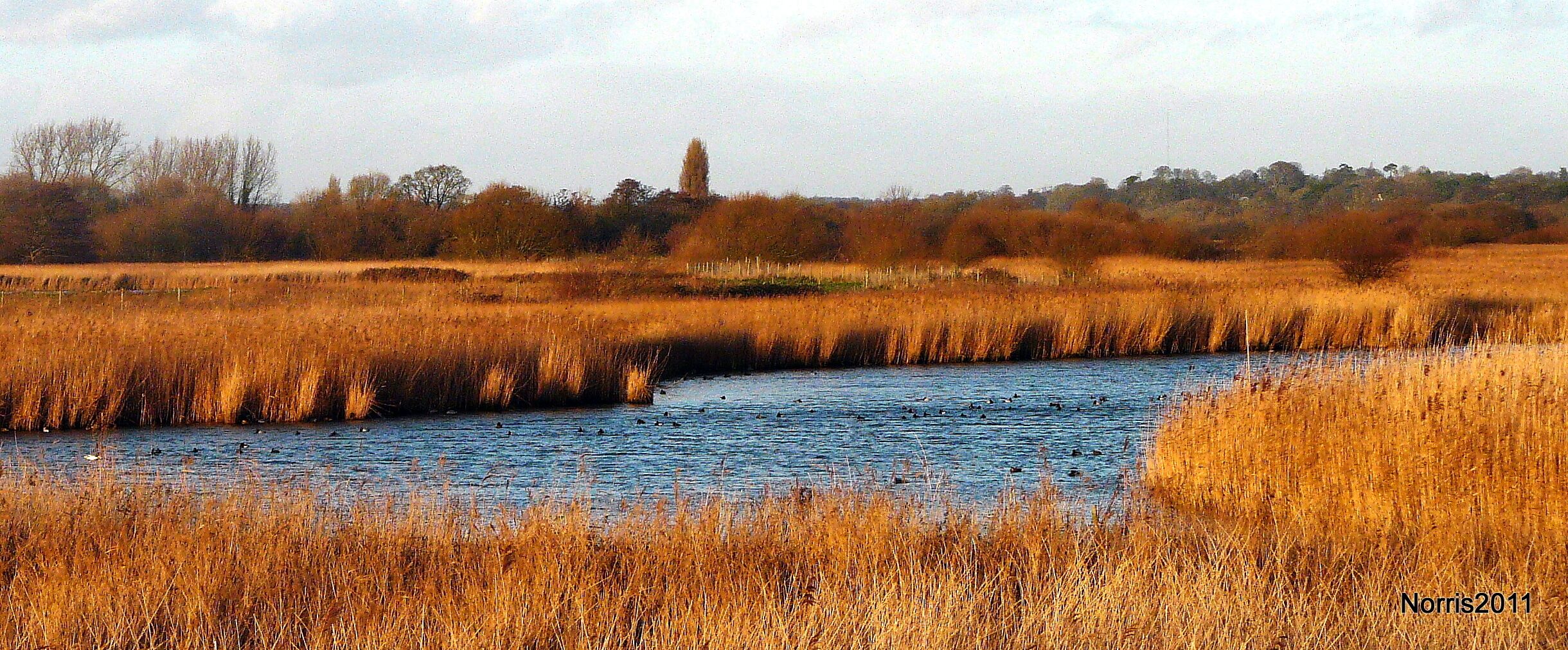 Titchfield Haven in Winter.