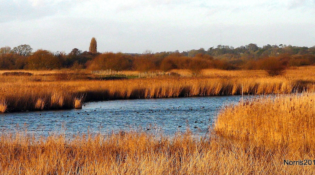 Titchfield Haven in Winter.