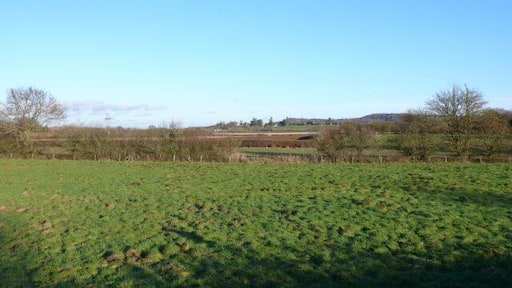 Countryside near Thornford This is very flat marshy land in the vale of the River Yeo. This is the view east from Longford Bridge.