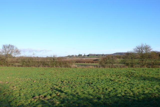 A green field with a clear sky and distant trees.