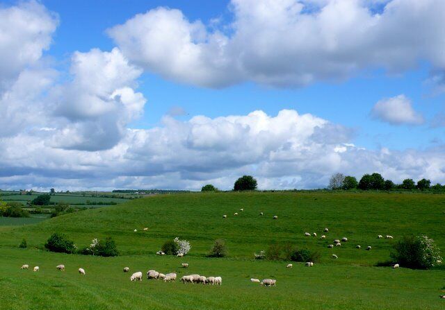 Countryside near Thornford This small valley just west of the village is to the east of Lake Farm. There is a small lake at the head of the valley.