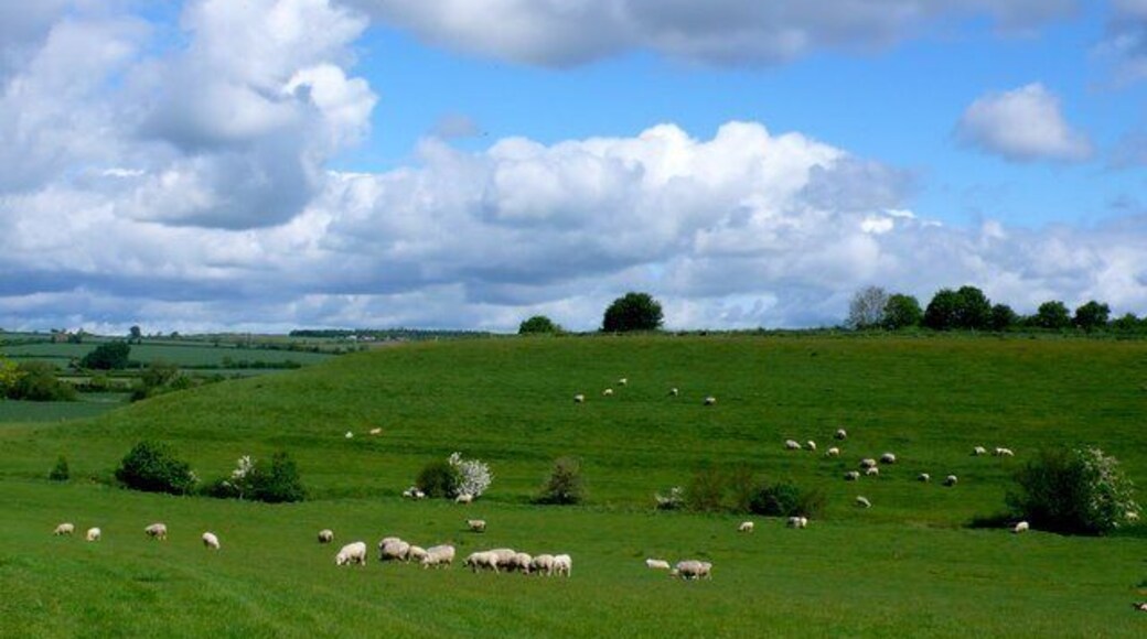 Countryside near Thornford This small valley just west of the village is to the east of Lake Farm. There is a small lake at the head of the valley.