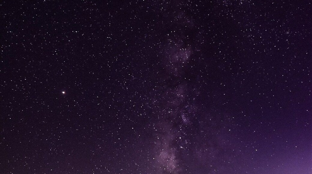 I spent the evening with my 21 year old son and some new and old friends the frolicking photogs of San Diego!