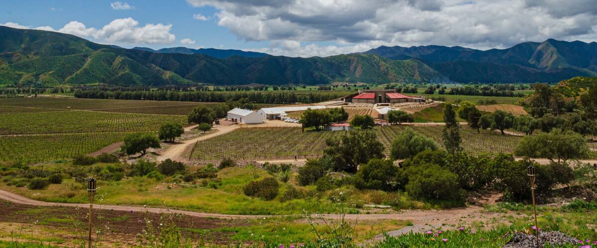 Paisaje de viñedos Santo Tomás en Valle de Guadalupe, Baja California, México
