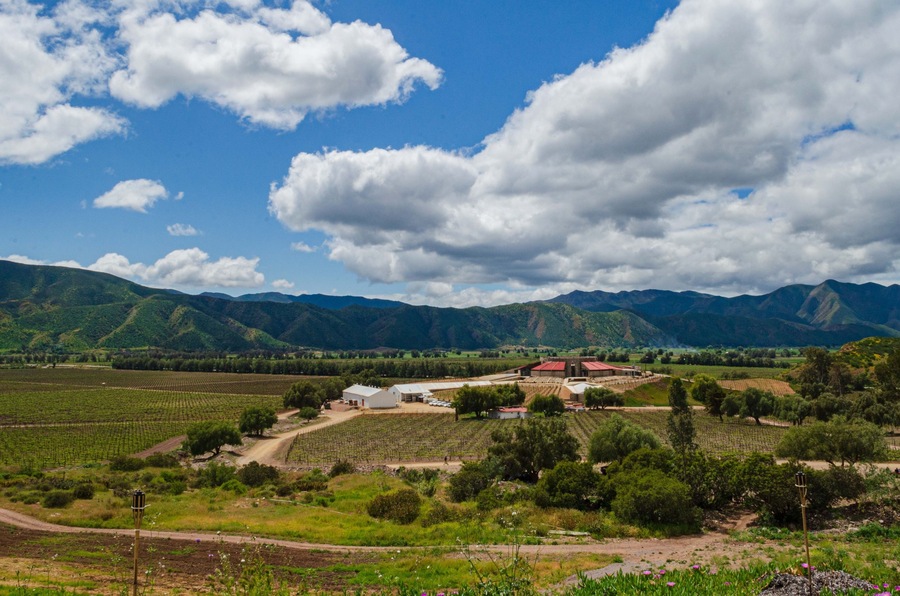 Paisaje de viñedos Santo Tomás en Valle de Guadalupe, Baja California, México