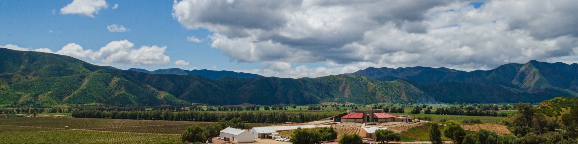 Paisaje de viñedos Santo Tomás en Valle de Guadalupe, Baja California, México