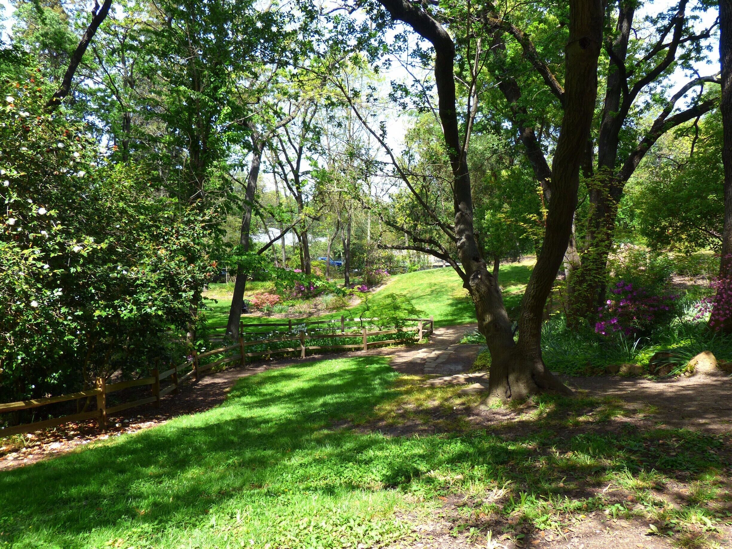 Jensen Botanical Gardens is a small, quaint, quiet oasis tucked and hidden from street noise. 

#JensenBotanicalGardens
#Carmichael
