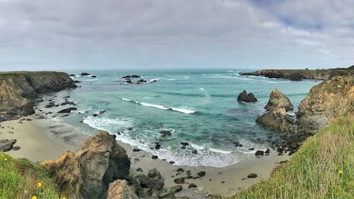 One of the 2 beaches you can spot on this short walk in Jug Handle. Easily some of the best views I’ve seen on the north coast of California! #fortbragg