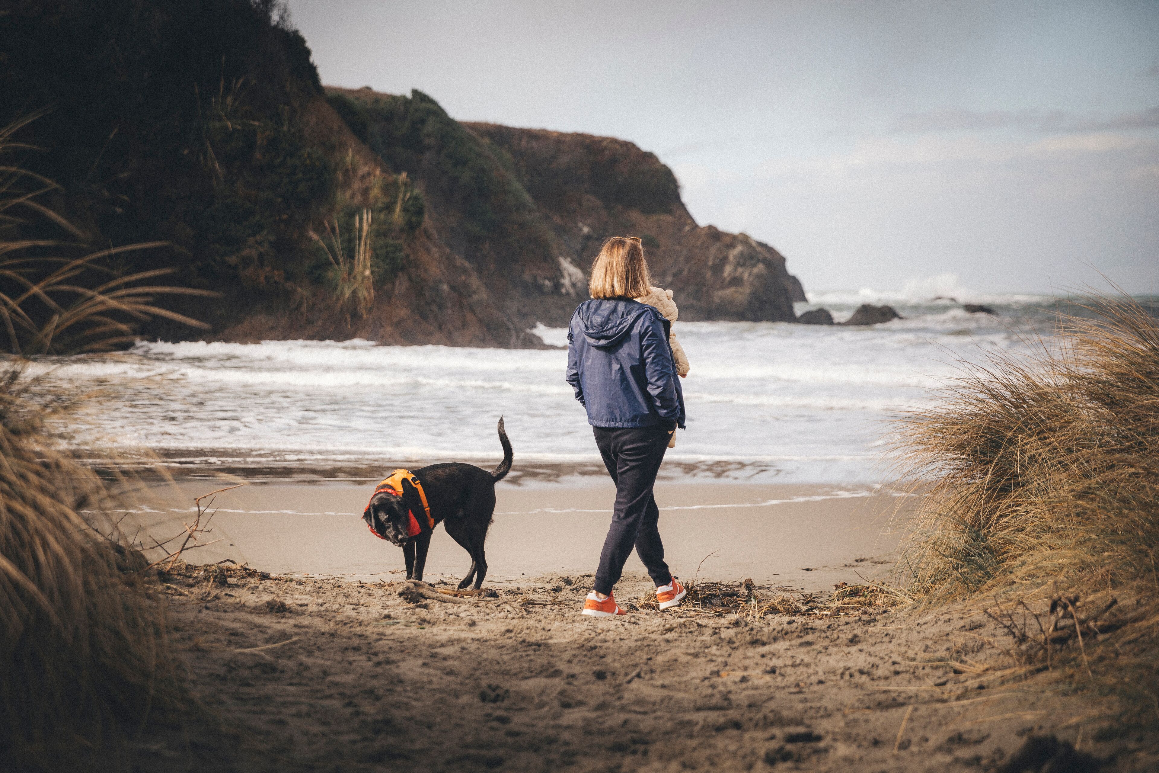 A person walking a dog on a sandy beach with a rocky cliff in the background.