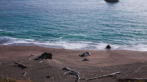 beach walkers in California north coast