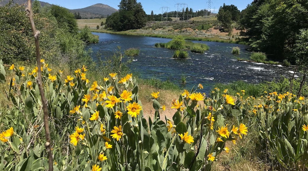 Great little park at this project site to restock Native Trout