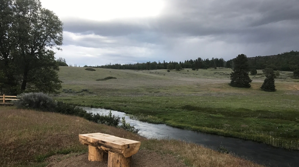 Hiking for miles with this lovely scenery