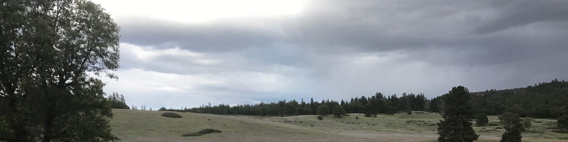 Hiking for miles with this lovely scenery