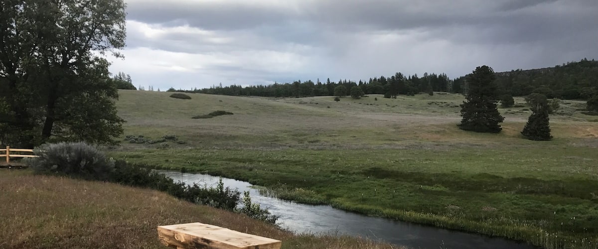 A wooden bench by a river in a grassy field with trees in the background.