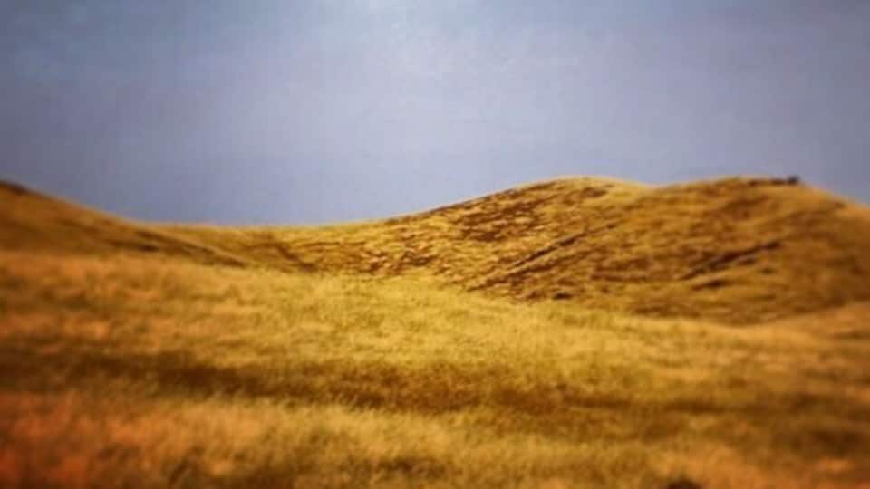 A grassy hill with a clear sky.