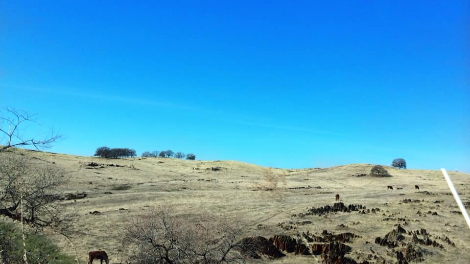 A dry, hilly landscape with sparse vegetation and a clear blue sky.