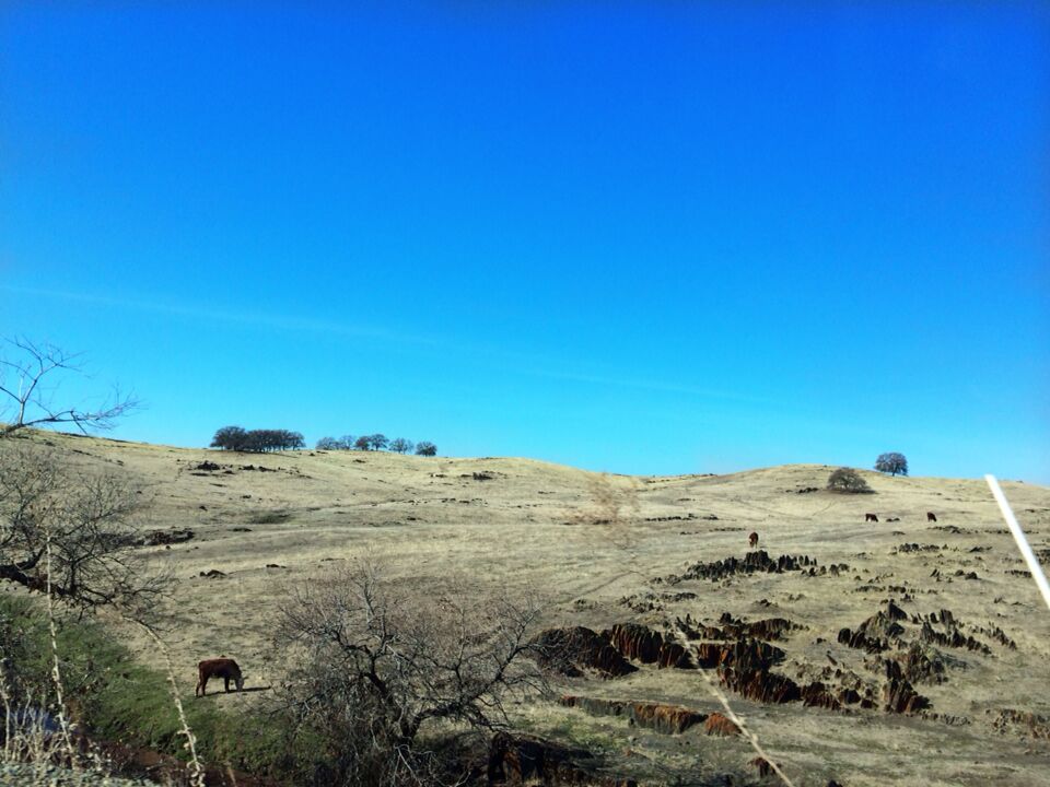 A dry, hilly landscape with sparse vegetation and a clear blue sky.