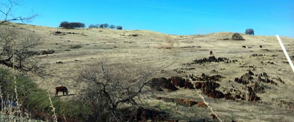 A dry, hilly landscape with sparse vegetation and a clear blue sky.