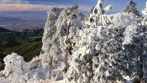 A mountain landscape with snow-covered trees and a distant city view.