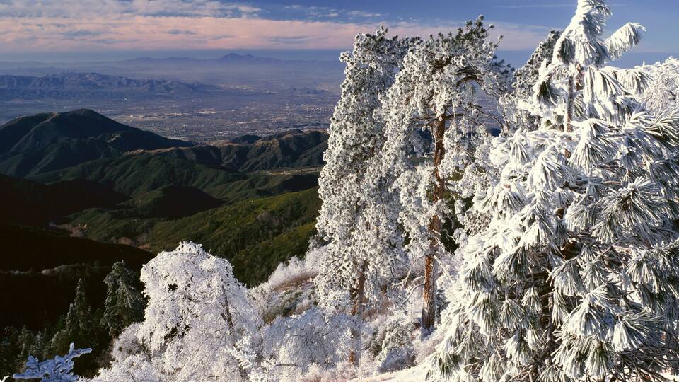 A mountain landscape with snow-covered trees and a distant city view.