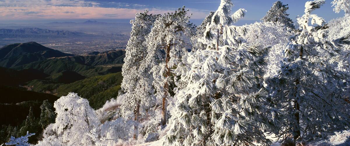 A mountain landscape with snow-covered trees and a distant city view.