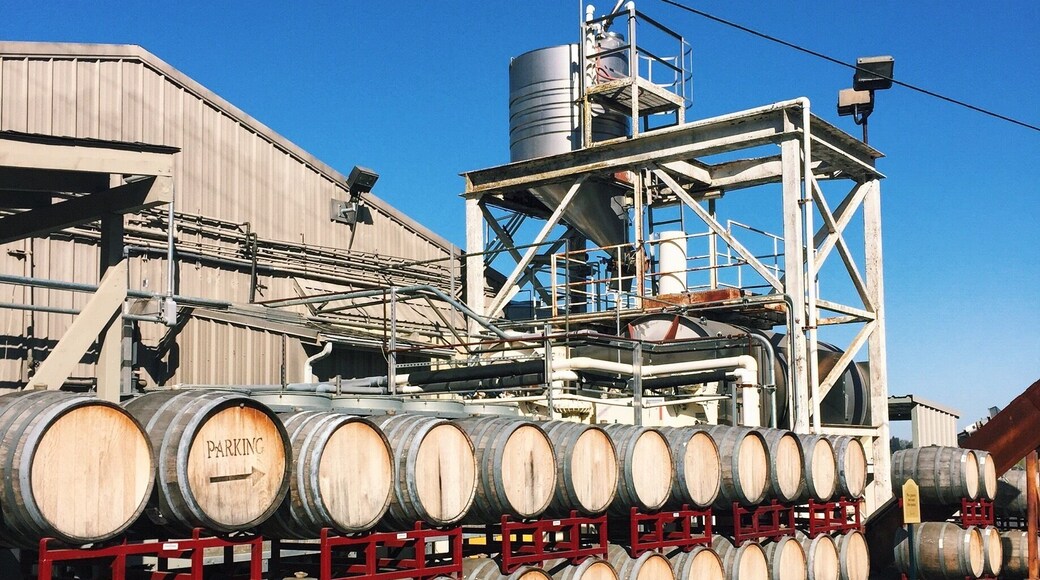 Free tastings and relaxing setting. Just 20 minutes outside of Sacramento. Bring a picnic, but some wine cheese and crackers, and chill by the vineyards.
More on http://www.ajauntwithjoy.com