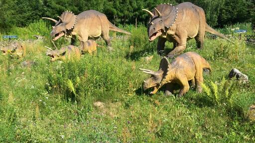 We found some dinosaurs as well 😊