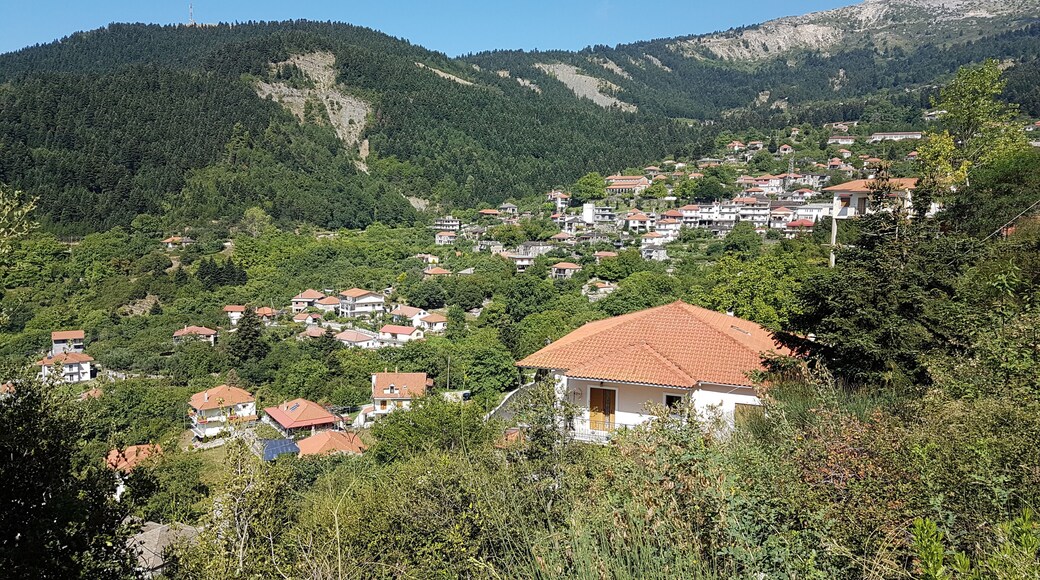 Vourgareli village in Epirus Arta Greece