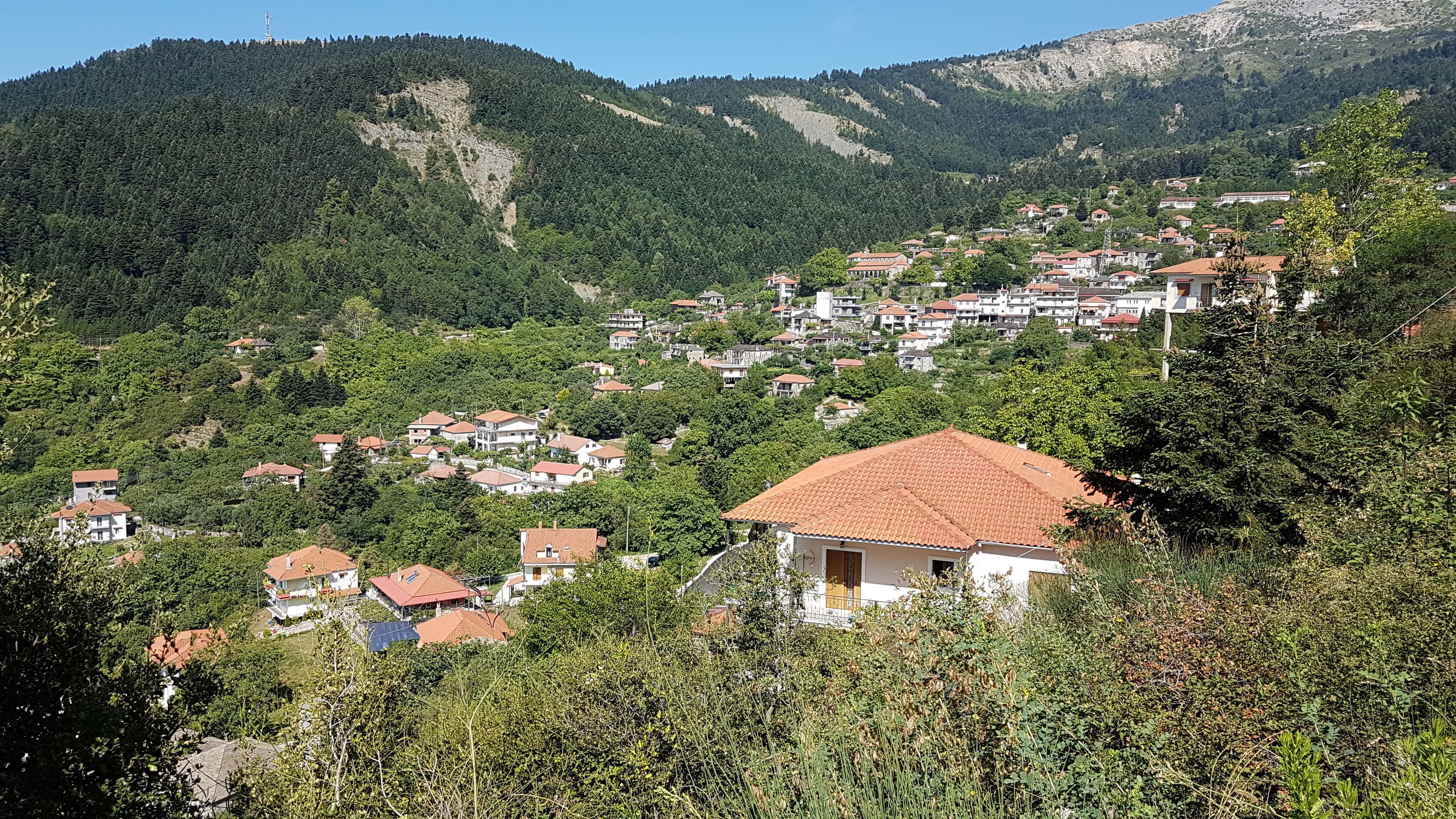 A hillside village with terraced houses and dense forest.
