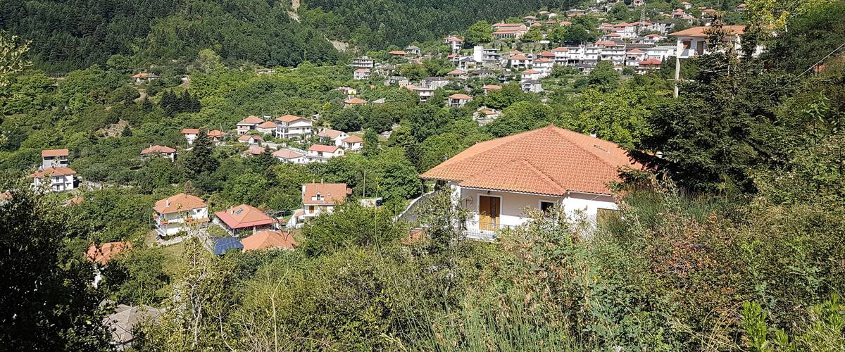 A hillside village with terraced houses and dense forest.
