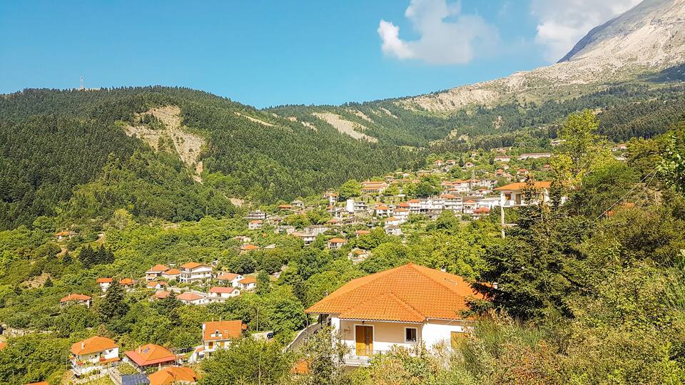 A hillside village with terraced houses, dense forest, and a mountain in the background.