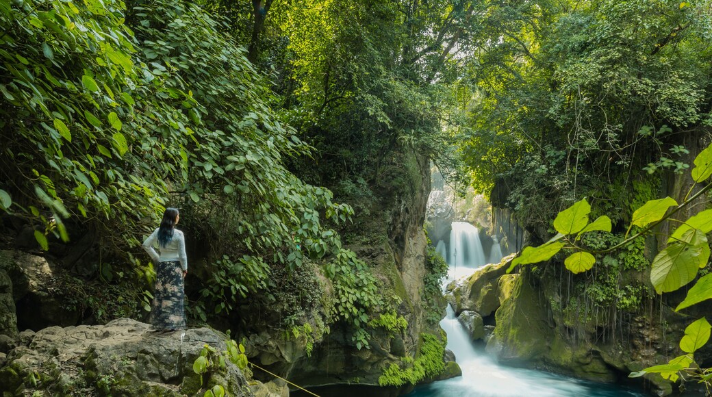 Forest river stones landscape,beautiful panoramic view of the river in Bridge of God and Waterfalls of Tamasopo san luis potosi mexico