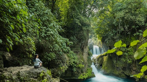 Bridge of God Waterfalls San Luis Potosí - January 19, 2020: people watching and taking pictures of the beautiful blue waterfall in the middle of the tropical forest
