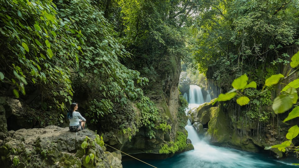 A person sitting on a rock by a waterfall in a lush forest.