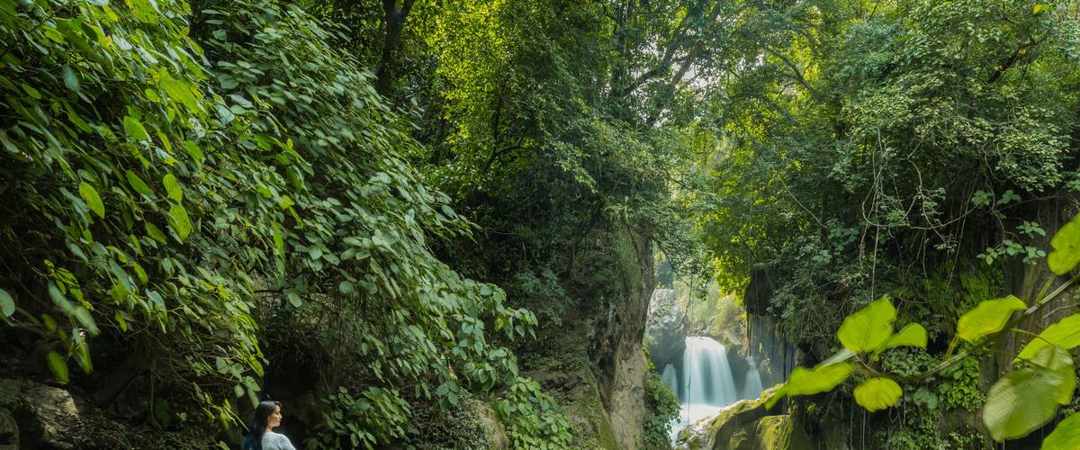 A person sitting on a rock by a waterfall in a lush forest.