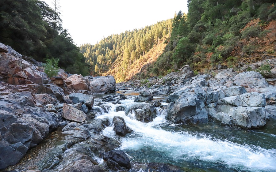 A rocky river with clear water flowing over rocks, surrounded by dense forest and hills.