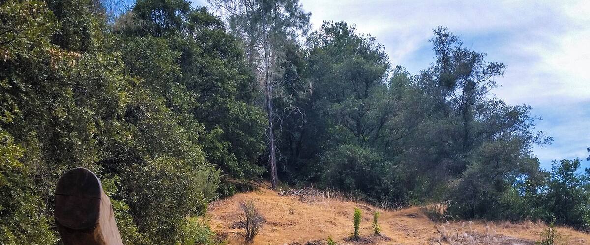 Nice hike in Auburn California out to The Black Hole of Calcutta water fall.
#BestOf5