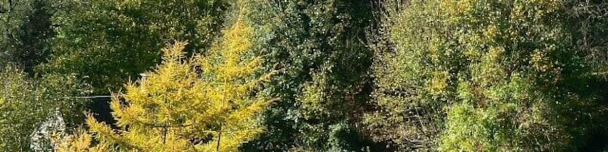 View south-west from Marle Hill, Chalford Chalford climbs up the steep south-facing slope of the Frome valley. Marle Hill is a narrow hill that leads north from the valley floor.