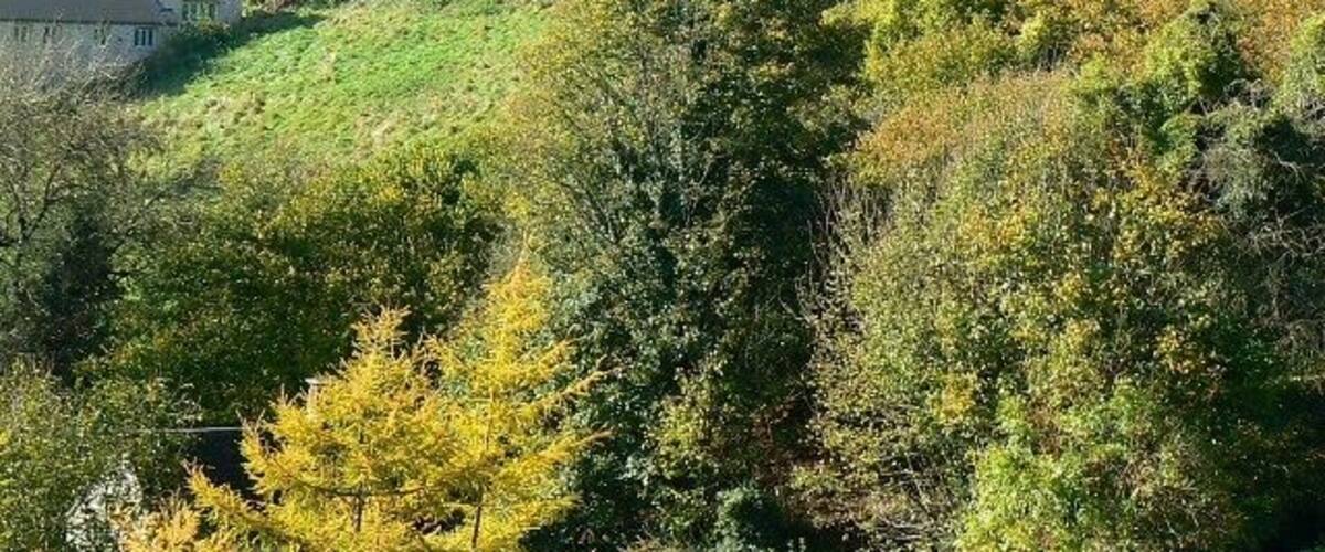 View south-west from Marle Hill, Chalford Chalford climbs up the steep south-facing slope of the Frome valley. Marle Hill is a narrow hill that leads north from the valley floor.