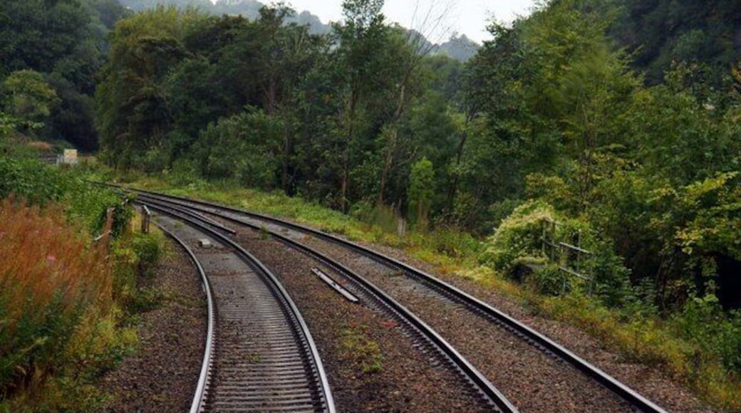 The Swindon - Gloucester line near Chalford