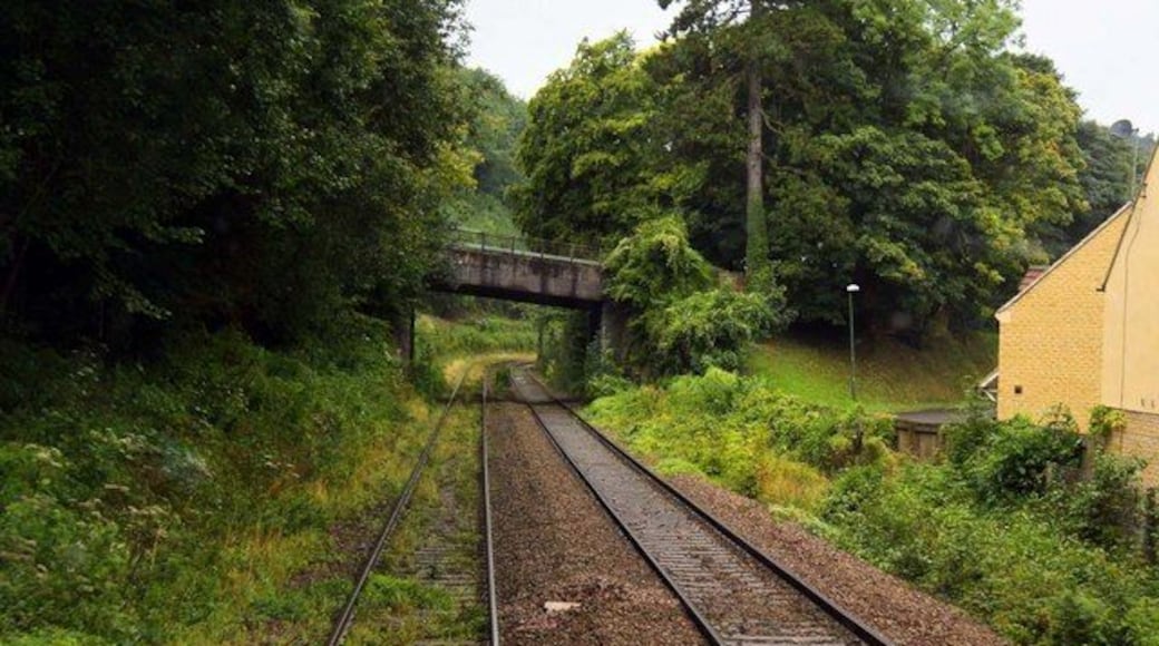 Cowcombe Hill Bridge at Chalford