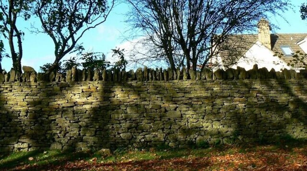 Drystone wall, Brantwood Road, Chalford A nice example of a Cotswold drystone wall. It may not be that old but it is typical. Such walls need care and attention.