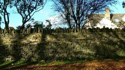 Drystone wall, Brantwood Road, Chalford A nice example of a Cotswold drystone wall. It may not be that old but it is typical. Such walls need care and attention.