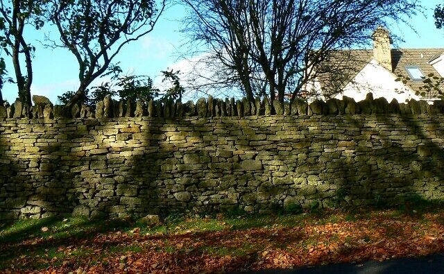 A stone wall with a row of trees and a building in the background.